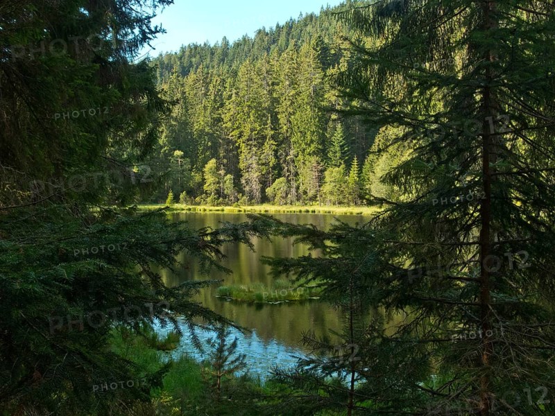 Herrenwieser See