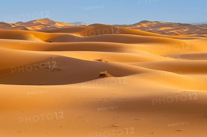 Wind-swept sand dunes of Erg Chebbi in the Sahara Desert near Merzouga