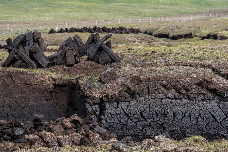 Peat extraction in bog
