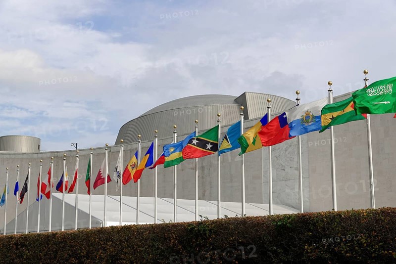 International flags in front of the UN Headquarters