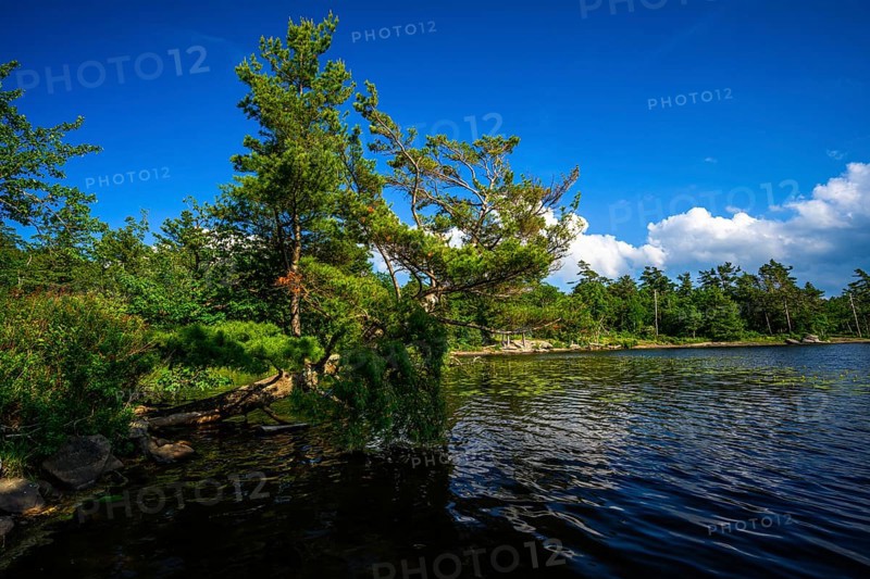 South Lake in Catskills Mountains