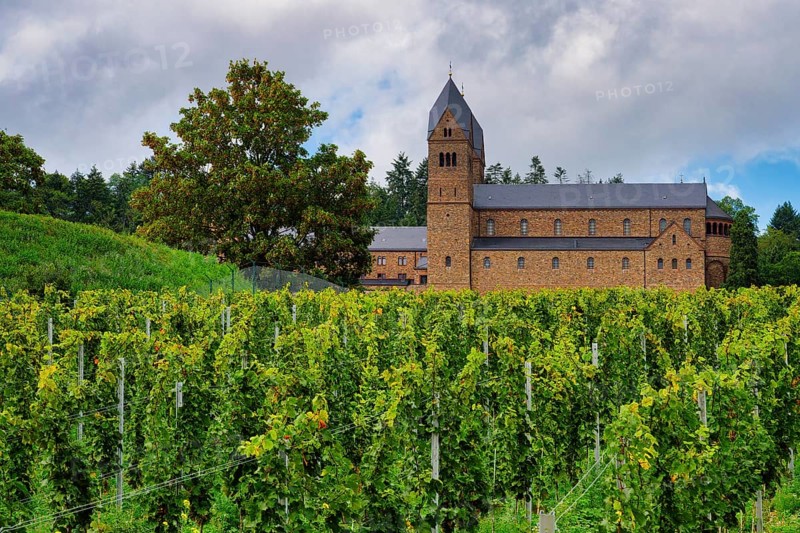 Eibingen or Saint Hildegard Benedictine Abbey surrounded by vineyards, Rudesheim, Hesse, Germany, Europe