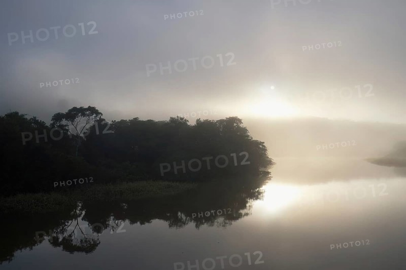 Morning fog on the Amana River, an Amazon tributary, Amazonas state, Brazil, South America