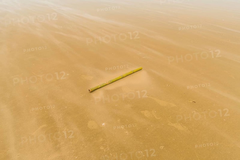 Solitary bamboo pole laying on windswept beach with streaks of sand being blown across the ground