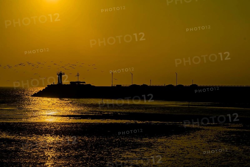 Flock of seagulls flying over lighthouse at end of pier as setting sun glimmers on ocean water below