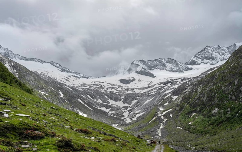 Schlegeisgrund valley, glaciated mountain peaks Hoher Weiszint and Schlegeiskees glacier, Berliner Hoehenweg, Zillertal Alps, Tyrol, Austria, Europe