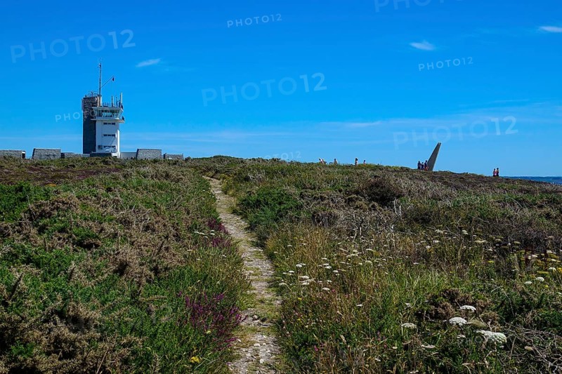 Heath landscape on the Cap de la Chevre, lighthouse, Crozon peninsula, Finistere department, Brittany region, France, Europe