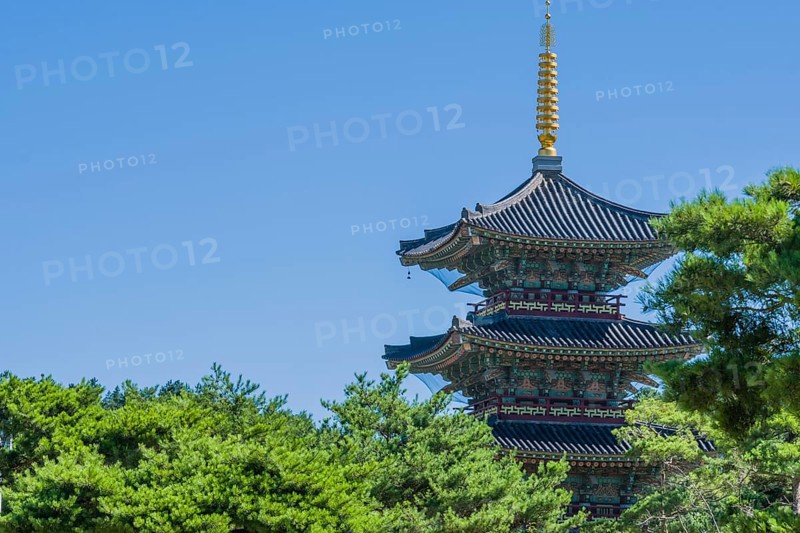 Tall oriental pagoda with tiled roof and golden spire behind beautiful trees in public park on sunny day