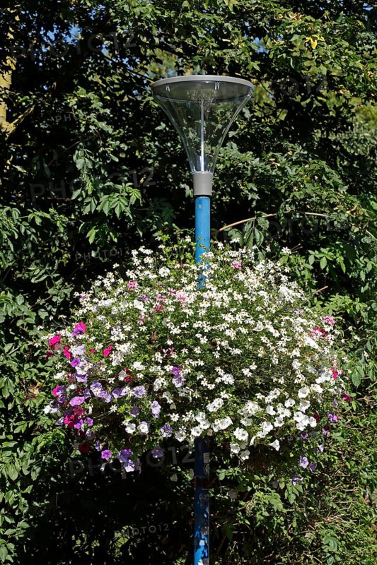 Flower pot hanging from a street lamp, decoration, Germany, Europe