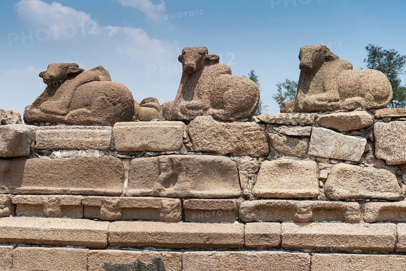 Nandi or Shiva's mount, consecrated Shore temple, UNESCO World Heritage Site, Mahabalipuram or Mamallapuram, Tamil Nadu, India, Asia