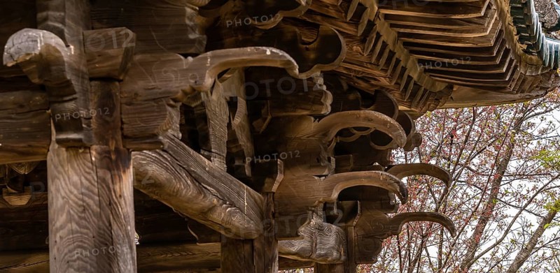 View of underside of roof of an old, unused oriental pavilion in a wooded area in South Korea