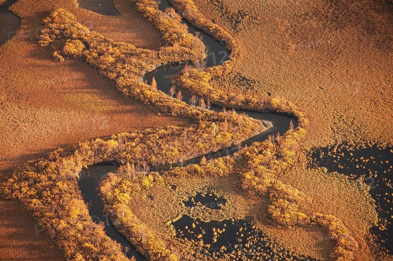 In Sarek National Park, Sweden. The Rapaaelv river delta in autumn. View from Skierfe mountain