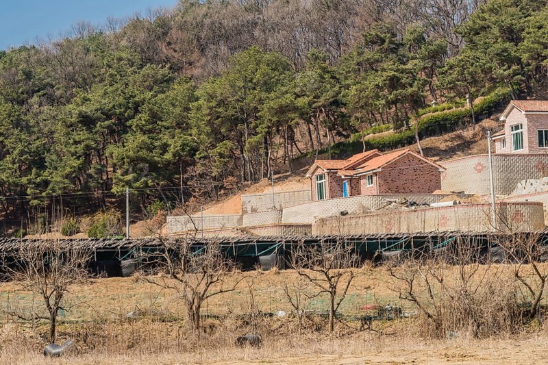 Chungju, South Korea, March 22, 2020: For editorial use only. Newly constructed single family homes on hill behind large ginseng crop and row of trees, Asia