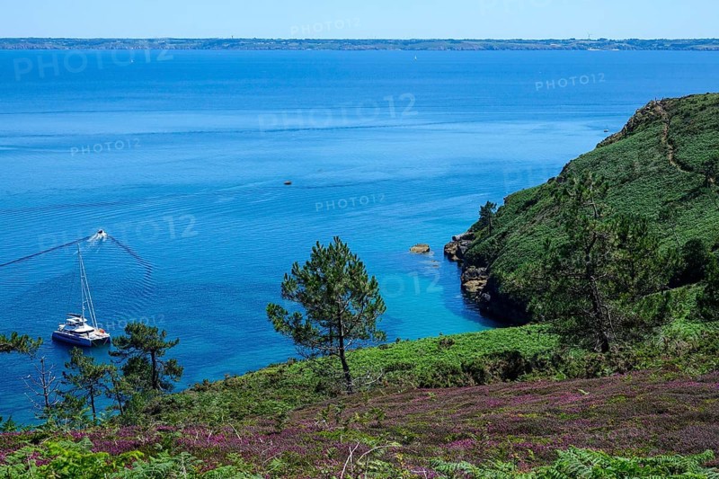 Anse St. Nicolas bay at Cap de la Chevre, heathland in the bay of Douarnenez, Crozon peninsula, Finistere department, Brittany region, France, Europe