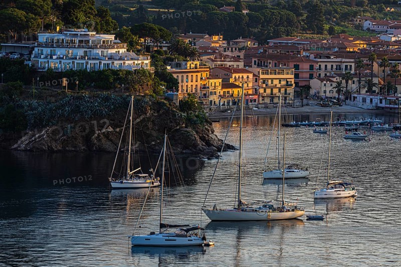 Sailing marina of Porto Azzurro at dawn, Elba, Tuscan Archipelago, Tuscany, Italy, Europe