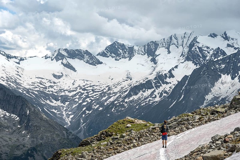 Mountaineer on hiking trail with snow, Berliner Hoehenweg, mountain landscape with glaciated peaks Hochfeiler and Hoher Weisszint, Zillertal Alps, Tyrol, Austria, Europe