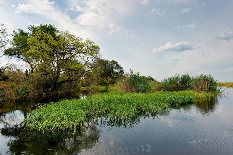 River cruise in the Okavango Delta, reeds, clouds, nature, natural landscape, landscape, nobody, puristic, Kwando River, BwaBwata National Park, Namibia, Africa