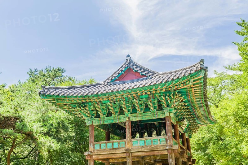Covered oriental gazebo with ceramic tiled roof in woodland park under blue sky with soft white clouds