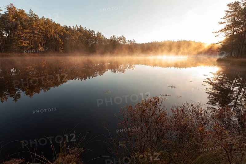Tivedens National Park, Lake Metesjoen with sunrise in the fog