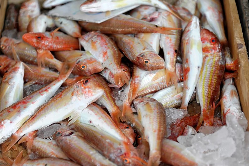 Fish, seafood at the Venetian harbour of Heraklion, island of Crete, Greece, Europe