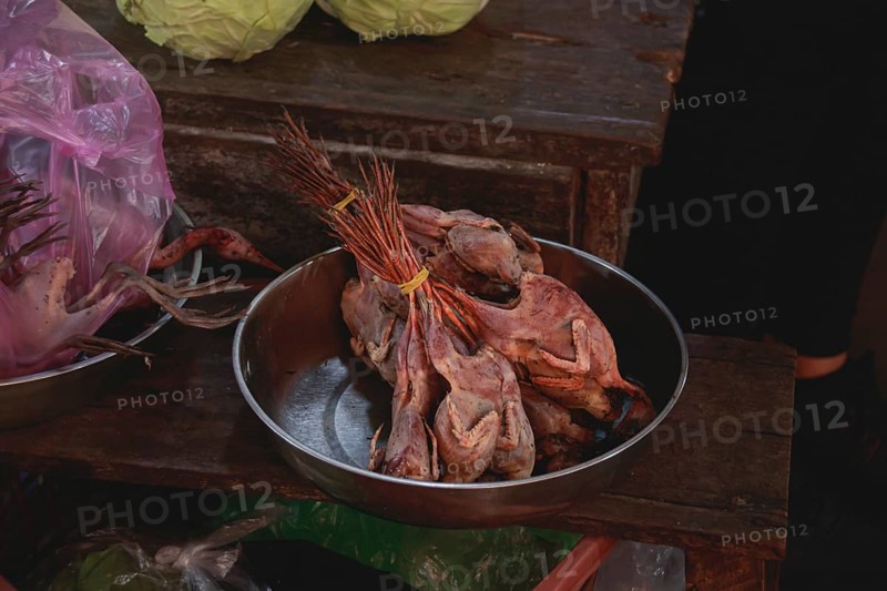 Raw native poultry meat arranged in a metal bowl at a local market showing the candid khmer daily life, tradition and culture in Kampot, Cambodia, Asia