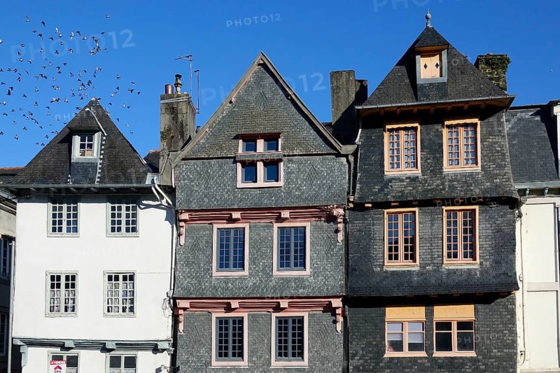 Old houses with slate facades on Place Alende, Morlaix Montroulez, Finistere Penn Ar Bed department, Brittany Breizh region, France, Europe