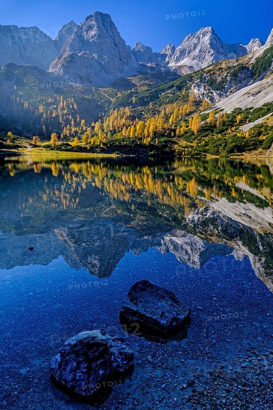 Reflection of steep mountains in a mountain lake, grazing light, autumn, larches, Seebensee, Mieminger Gebirge, Tyrol, Austria, Europe
