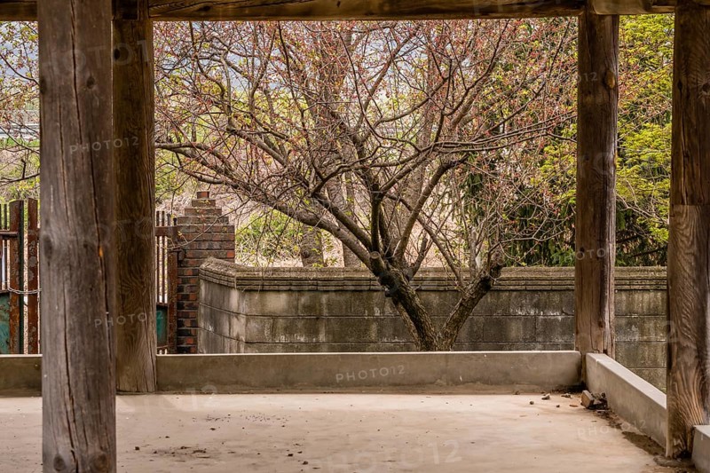 Inside view of old oriental style covered pavilion surrounded by a concrete wall in an overgrown woodland area in South Korea