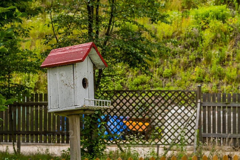 Closeup of white birdhouse with red roof on wooden stand with trees and lattice fence in background