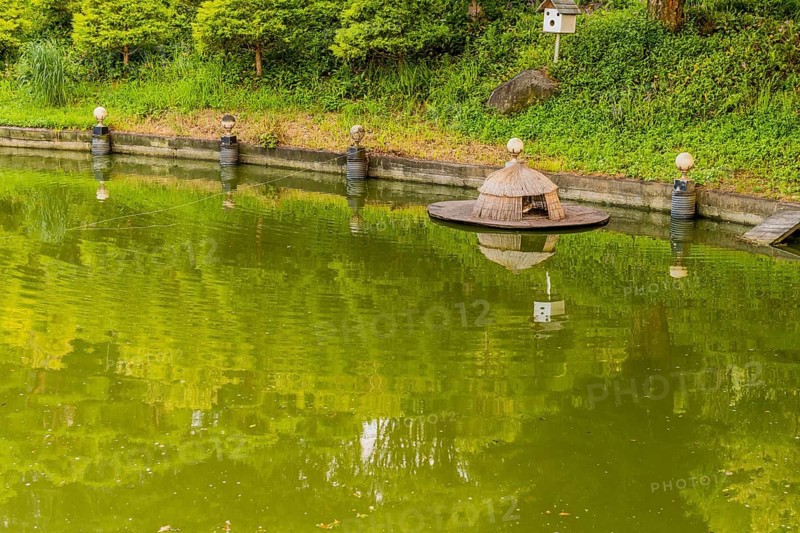 Straw duck house floating at edge of pond and birdhouse in background in public park