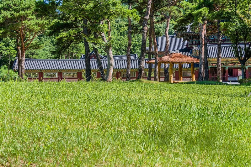 Wooden oriental gazebo with wooden tiled roof under tall trees in front of buildings with ceramic tiled roof in beautiful public park