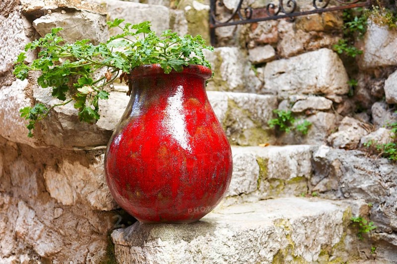 Flower pot on a natural stone staircase, Eze, Cote d'Azur, Provence, France, Europe