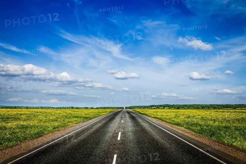 Travel concept background, an empty road with a blue sky and blooming green spring fields on either side