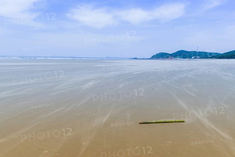 Solitary bamboo pole laying on windswept beach on cold morning with ocean waves and blue sky in background