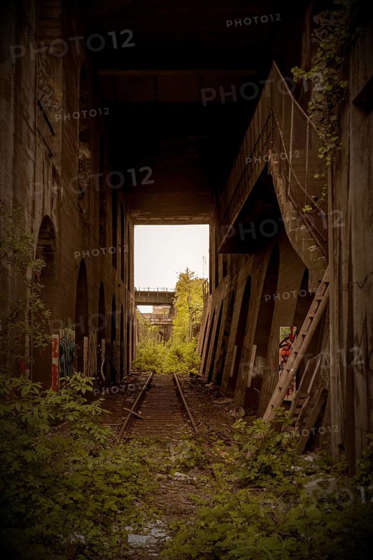 An abandoned railway structure with arches and natural overgrowth, decorated with graffiti, former Rethel railway branch, Lost Place, Flingern, Duesseldorf, North Rhine-Westphalia, Germany, Europe