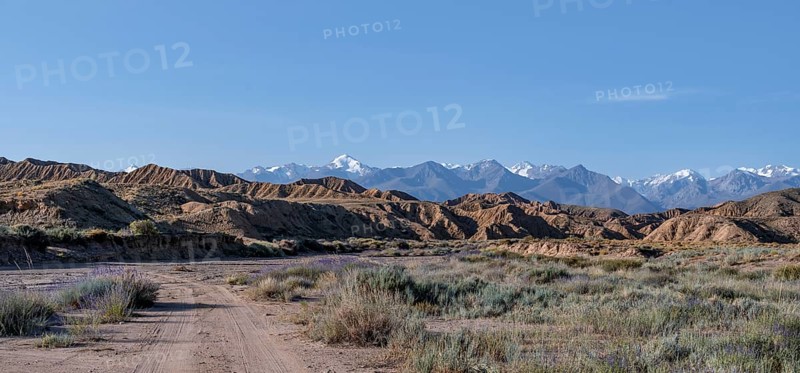 Off-road road in a canyon, mountains of the Tian Shan in the background, eroded hilly landscape, badlands, Valley of the Forgotten Rivers, near Bokonbayevo, Yssykkoel, Kyrgyzstan, Asia