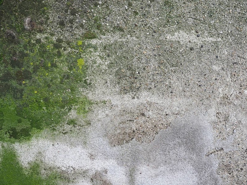 Weathered concrete wall with green moss background