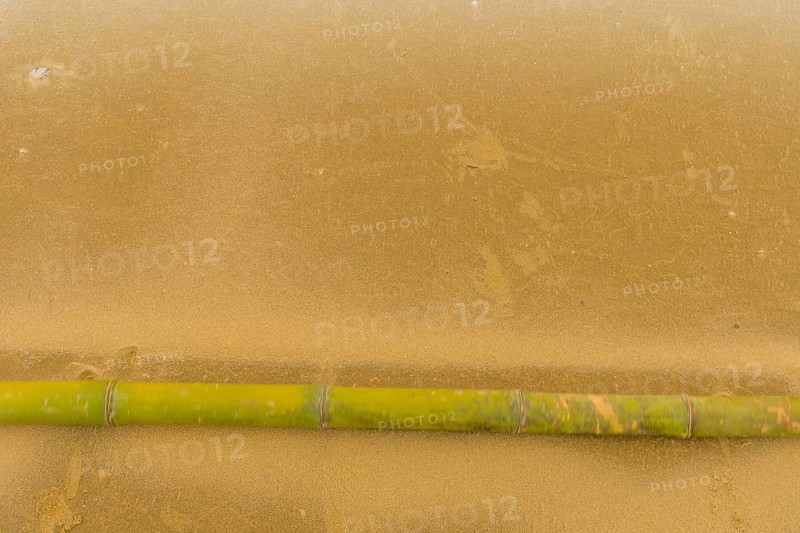 Solitary bamboo pole laying on windswept beach with streaks of sand being blown across the ground