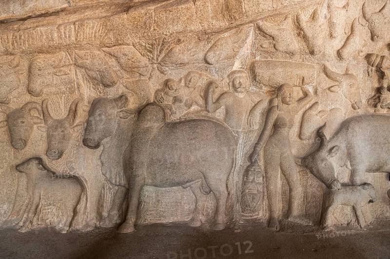 Bas-relief, detail, UNESCO World Heritage Site, Mahabalipuram or Mamallapuram, Tamil Nadu, India, Asia