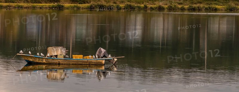 Several seagulls perched on a small boat with outboard motor in middle of inland bay