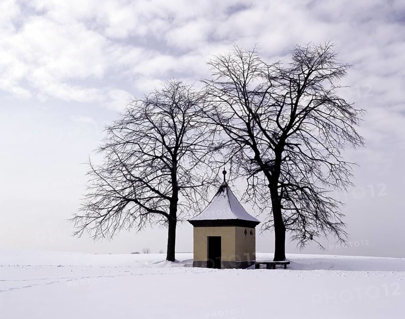 Small chapel in the Franconian Forest in winter, between two trees in a snowy landscape, district of Kronach, Upper Franconia, Bavaria, Germany, Europe