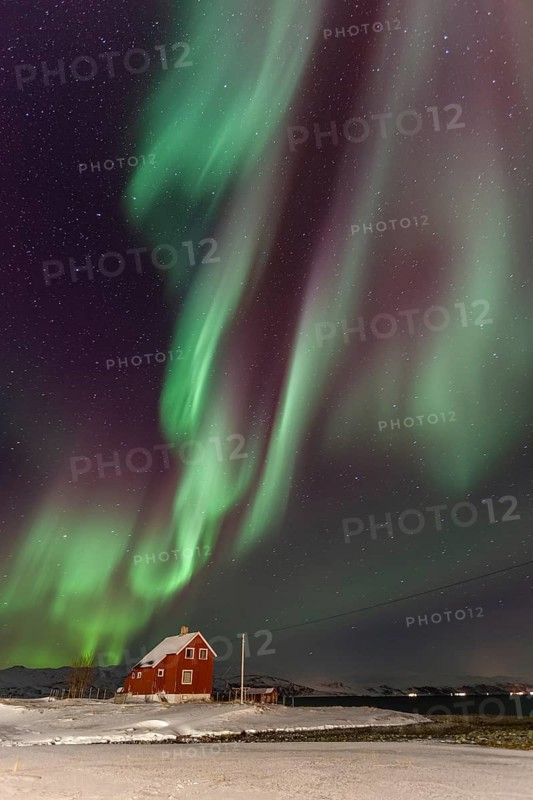 Northern lights over a red house by the sea, aurora borealis, snow, winter, Kvalsund, Repparfjord, Finnmark, Norway, Europe