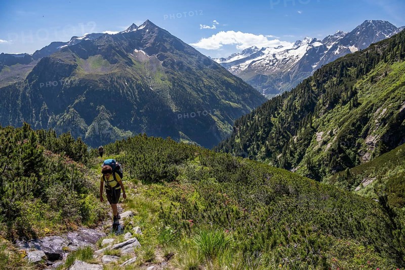 Mountaineer on hiking trail, Berliner Hoehenweg, summit Grosser Ingent and Grosser Greiner, Zillertal Alps, Tyrol, Austria, Europe
