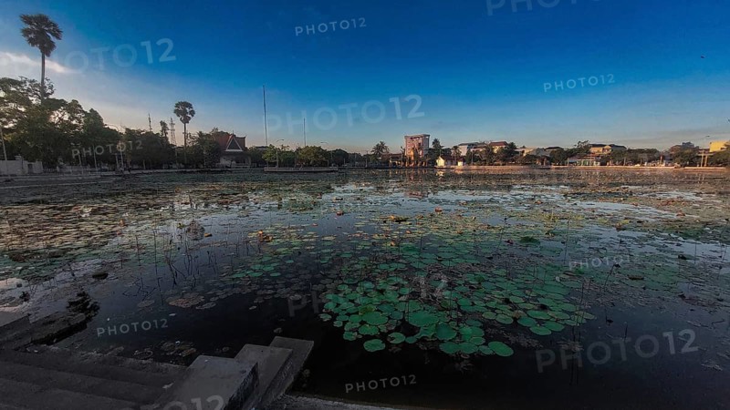 Tranquil lotus pond with water lilies at dusk called Srah Chhouk or Lotus Pond in the middle of Kampot town in Cambodia