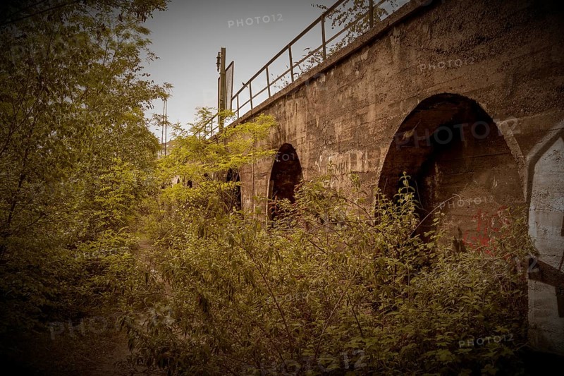 Old overgrown bridge arches in sepia-coloured tones, sign of abandonment, former Rethel railway junction, Lost Place, Flingern, Duesseldorf, North Rhine-Westphalia, Germany, Europe