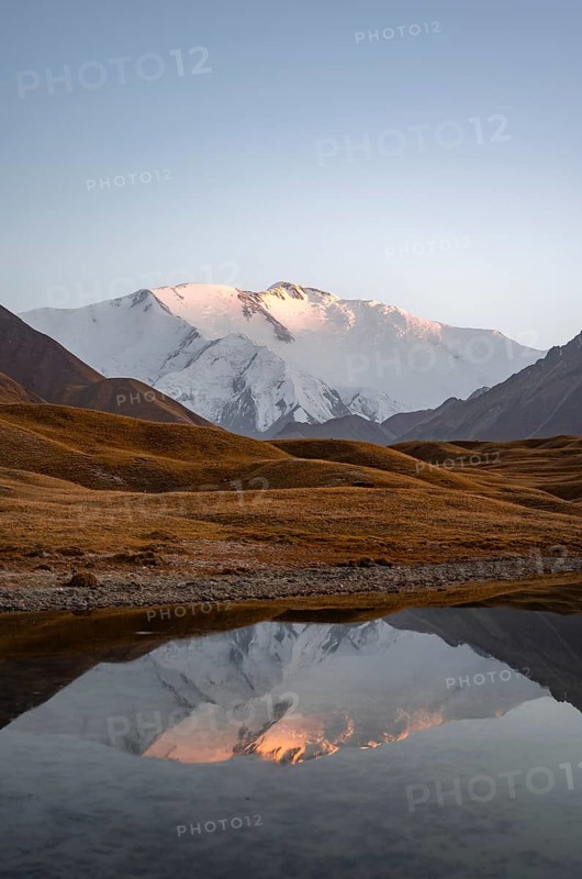 White glaciated and snowy mountain peak Pik Lenin at sunset, mountains reflected in a lake between golden hills, Trans Alay Mountains, Pamir Mountains, Osh Province, Kyrgyzstan, Asia