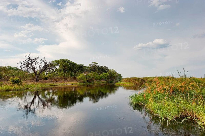 River cruise in the Okavango Delta, reeds, clouds, nature, natural landscape, landscape, nobody, puristic, Kwando River, BwaBwata National Park, Namibia, Africa