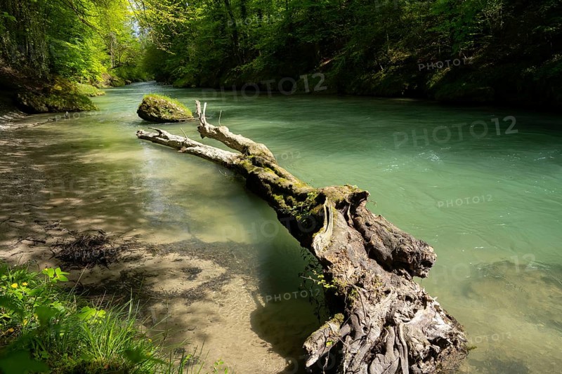 Erlauf, Erlauf Gorge, Purgstall an der Erlauf, Lower Austria
