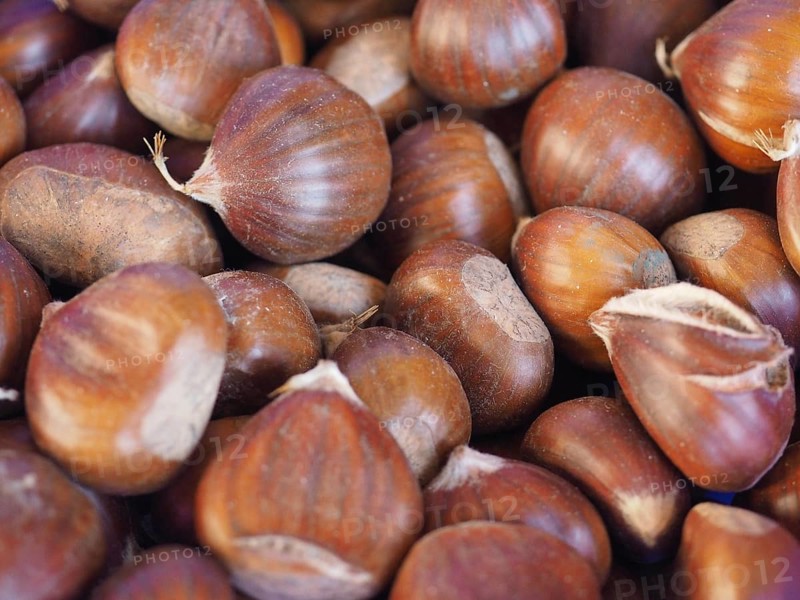 Chestnuts food background