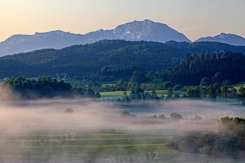 Foggy mood in front of a mountain landscape, morning light, summer, view of Benediktenwand, Alpine foothills, Bavaria, Germany, Europe
